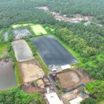 Hadapi Gejolak Energi Global, Holding Perkebunan Nusantara Andalkan PLTBg PalmCo