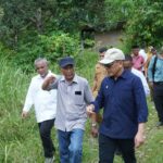 Didorong Kementan, Holding Perkebunan Nusantara Percepat Hilirisasi Gambir Nasional