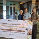 Holding Perkebunan Nusantara Tebar Manfaat Idul Adha, KPBN Unit Dumai Salurkan Hewan Kurban untuk Masyarakat