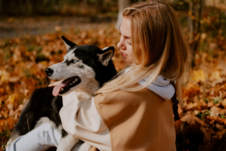 Sering Dianggap Mirip Serigala, Ini Fakta Menarik tentang Anjing Husky