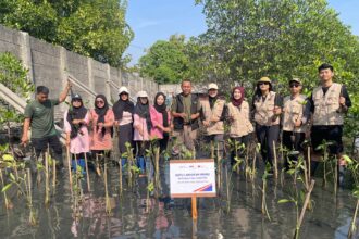 KAI Logistik Lanjutkan Komitmen Keberlanjutan melalui Penanaman 270 Bibit Mangrove