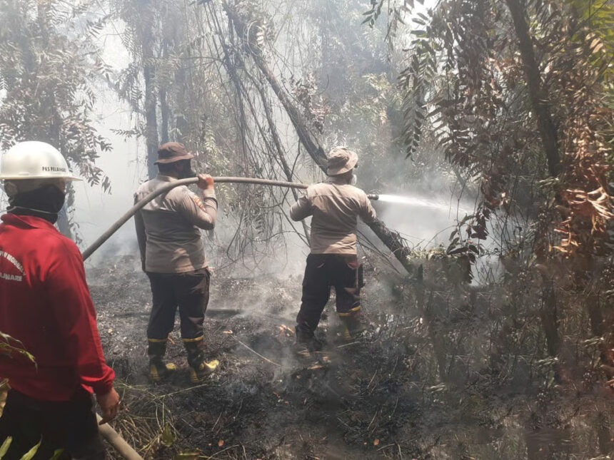 PTPN Group bersama Satgas Karhutla Kolaborasi Atasi Karhutla